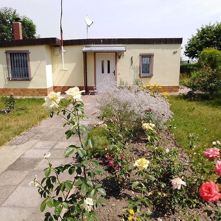 Ferienhaus Kaiserfelder Olbersdorf Eksteriør billede